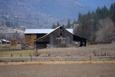 DSC_3077 (Large).JPG